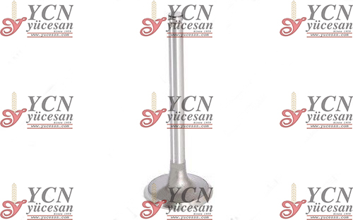 EMME & EGZOZ SUBAP TAKIM STD Tek Tırnak 45°