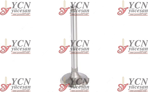 EMME & EGZOZ SUBAP TAKIM +0,005 Tek Tırnak 45°